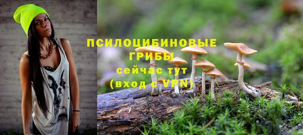 мефедрон Снежногорск