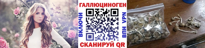 KRAKEN ссылки  Новочеркасск  Псилоцибиновые грибы Psilocybe 
