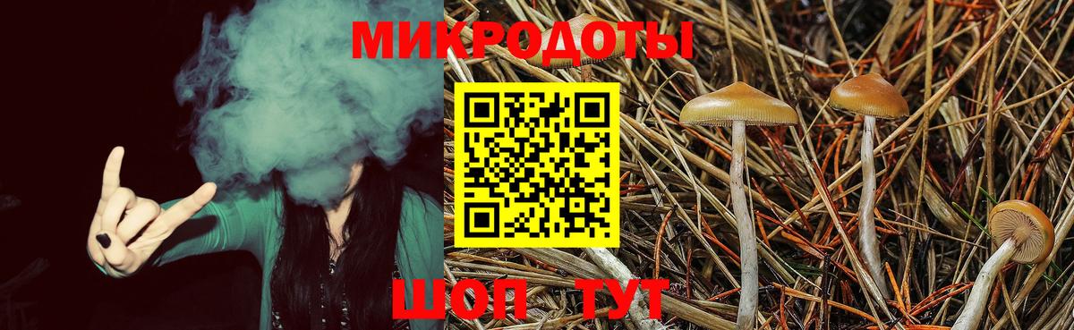 Псилоцибиновые грибы MAGIC MUSHROOMS Новочеркасск